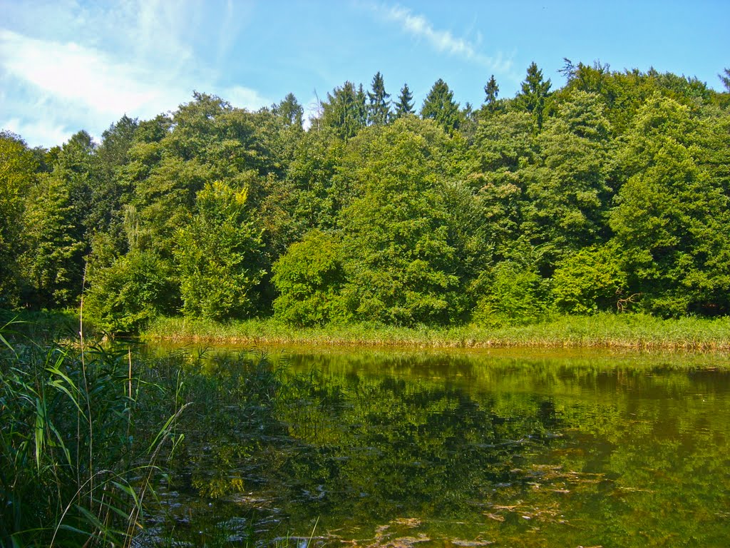 Dolina Siedmiu Młynów - Staw Łomot by Wirtualny Szczecin 3…