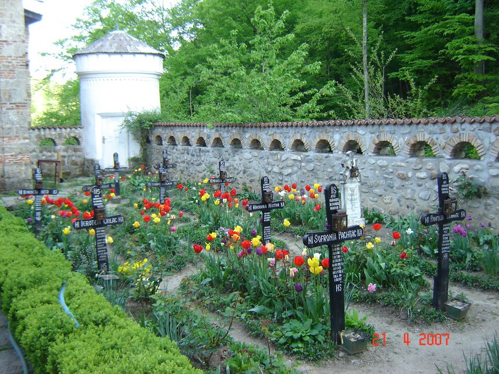 Cimitirul Manastirii Tismana by Viorel Lucaci