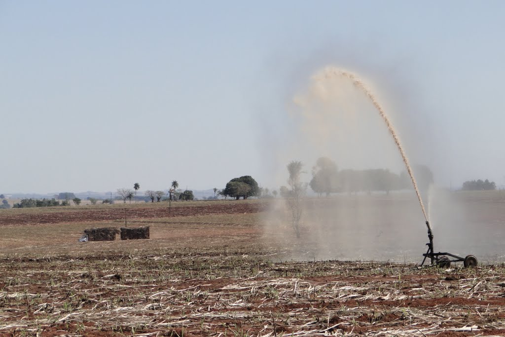 Irrigação de vinhoto na lavoura de cana de açúcar - Vicentina - Mato Grosso do Sul - Brasil by Paulo Yuji Takarada