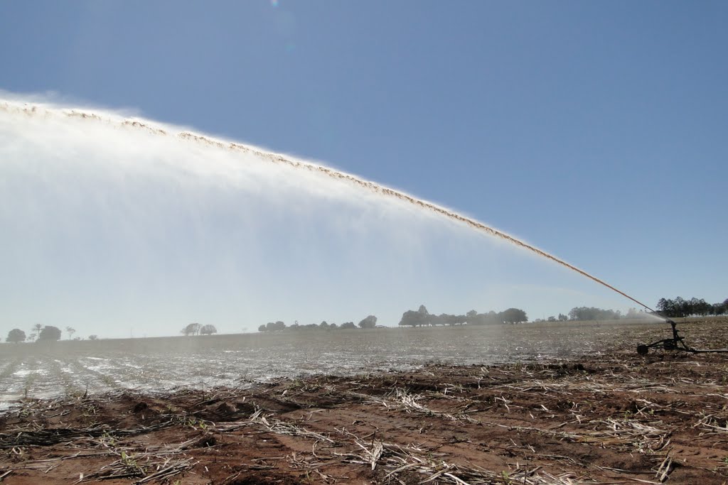 Irrigação de vinhoto na lavoura de cana de açúcar - Vicentina - Mato Grosso do Sul - Brasil - Veja mais fotos no www.panoramio.com/user505354 by Paulo Yuji Takarada