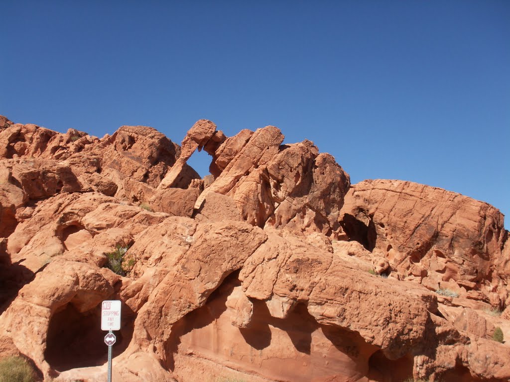 Valley Of Fire, Overton, NV, USA by Rumyana Grudina