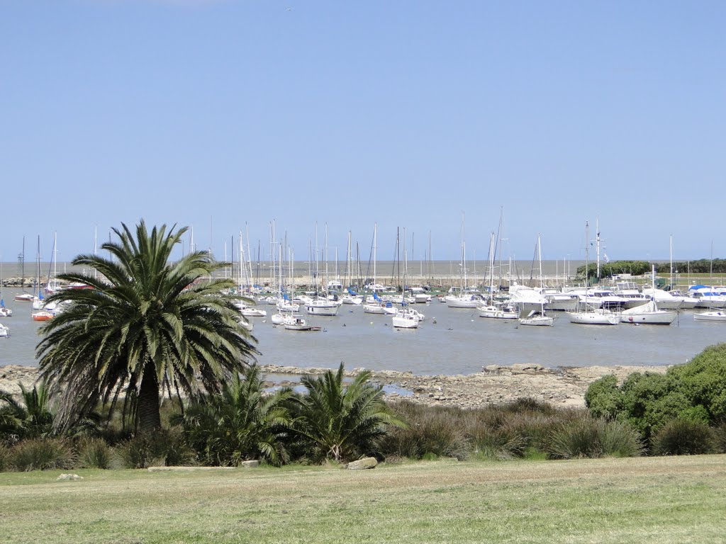 Buceo, Montevideo, Montevideo Department, Uruguay by Eduardo Mezzonato