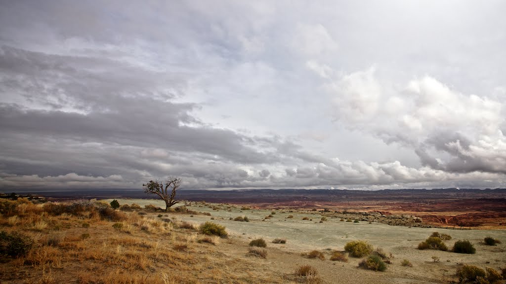 Salt Wash, Utah by igvm