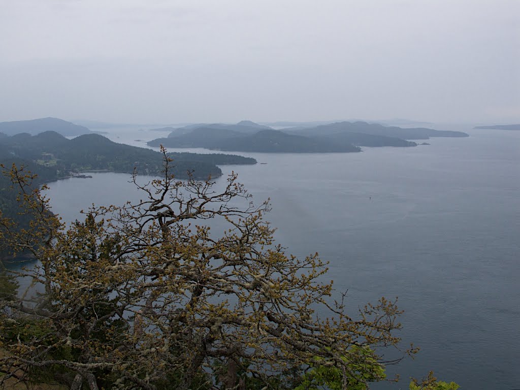 View from Bluff Park - Galiano Island by Alison Rintoul