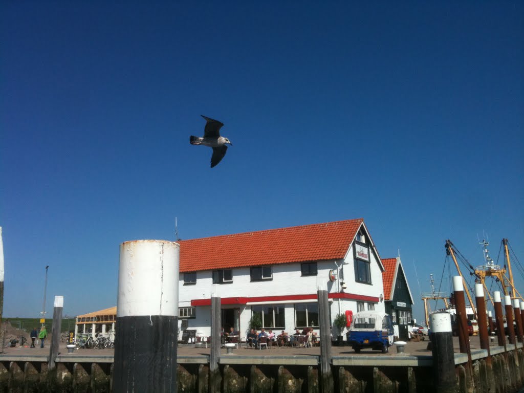 Haven oudeschild by Harm ter stege