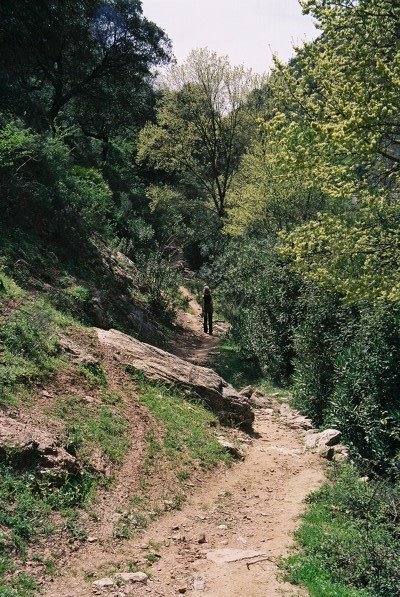 Guadiaro Riverside Walk #2 by Brian Burnett