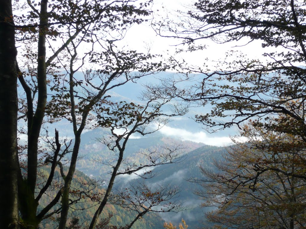 Rouge Gazon - Sur le Sentier du Col des Perches by Michel Roche