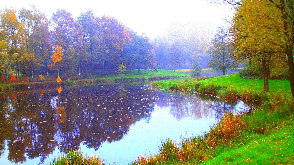 Herfst November 2010 by vak-fotograaf.Jan Gort Emmen klazienaveen