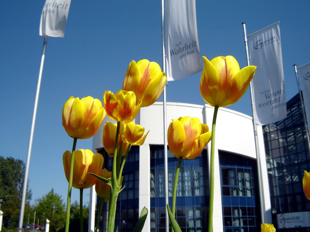 Universität Witten/Herdecke by Kirstin Schütz