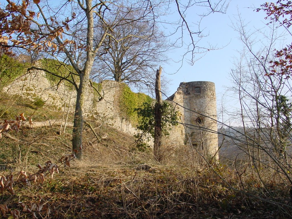 Chateau de Ferrette by ZUNDEL Thomas