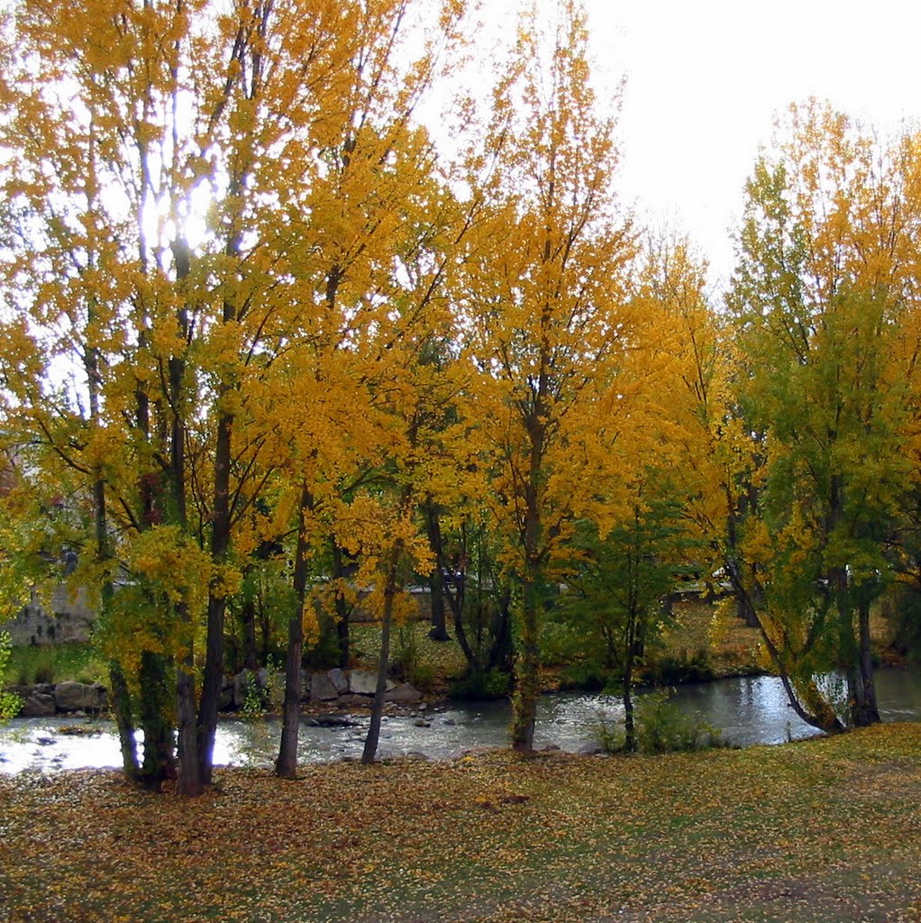 Otoño en el Arlanzón. Fuentecillas. - Burgos - by Javier Saiz Zaldo