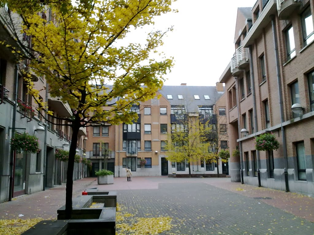 Rapenstraat, Brussel by michiel.vanderwulp