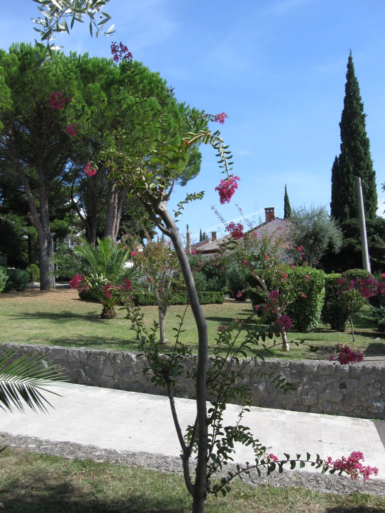 Park near hotel Varaždin by Theodosios33