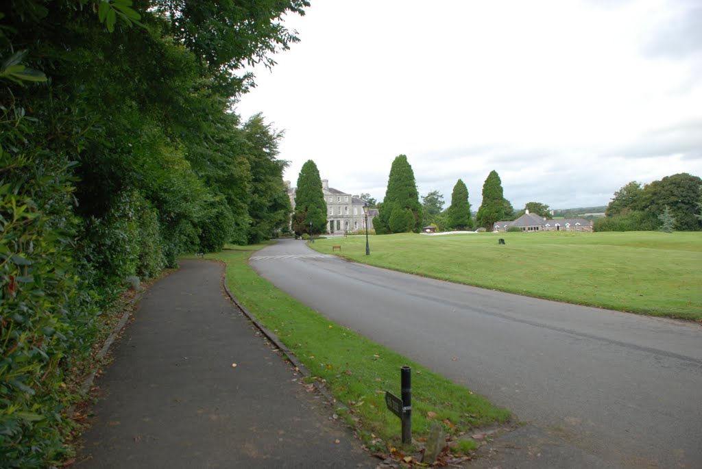 Faithlegg House, main driveway, August 2009 by robdet