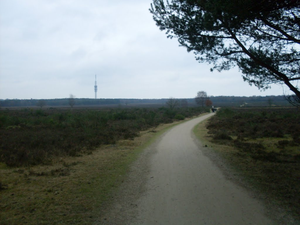 Larense Heide, Laren, Nederland by koeii