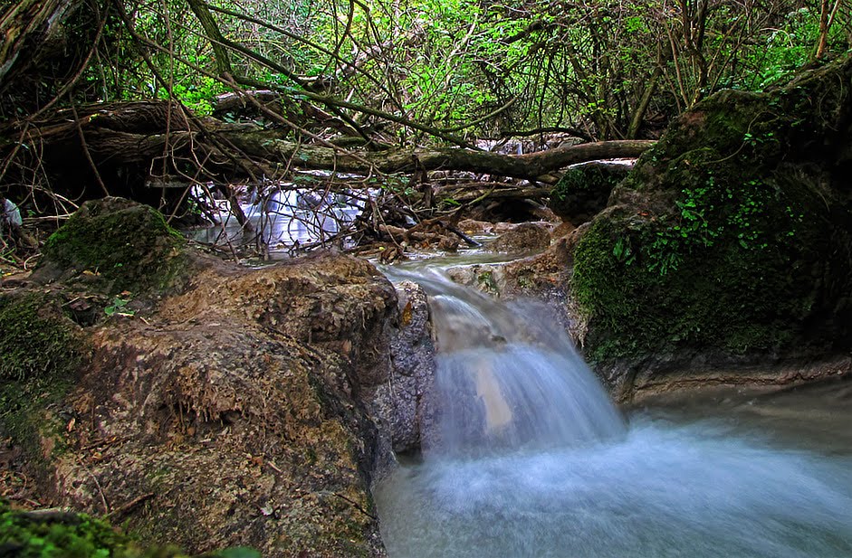 Крушунски водопад 2 (Krushuna waterfalls 2) by pepopepo_bg