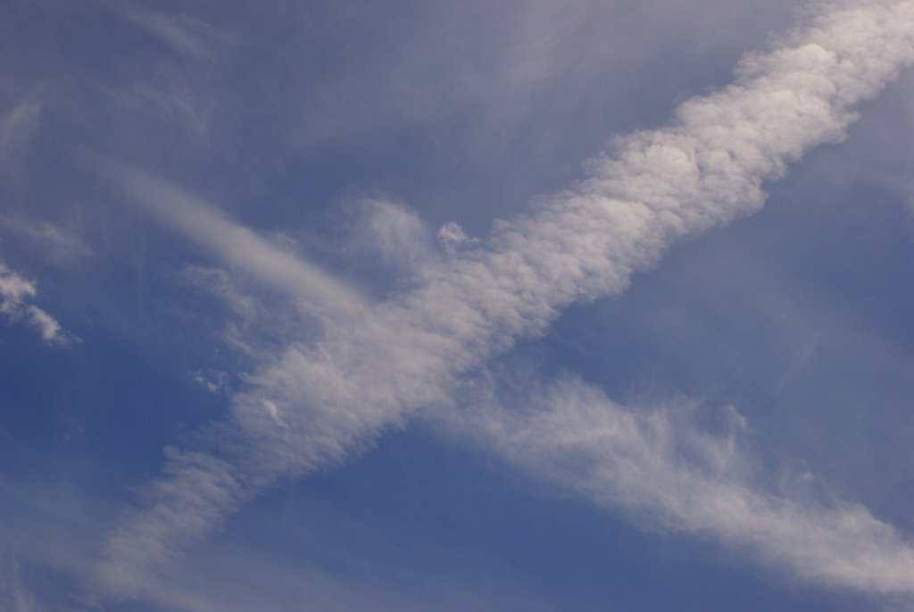 Saltire of St Andrew by Scott Darlow