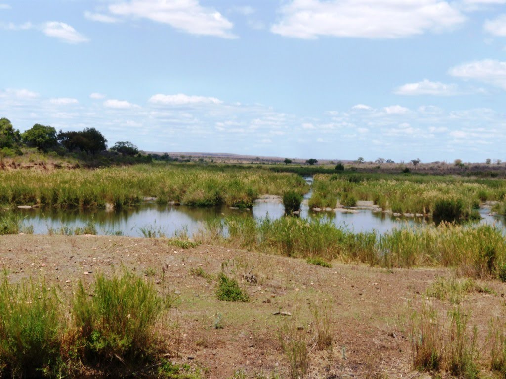 Kruger National Park - Sabie river by maresa maremagna