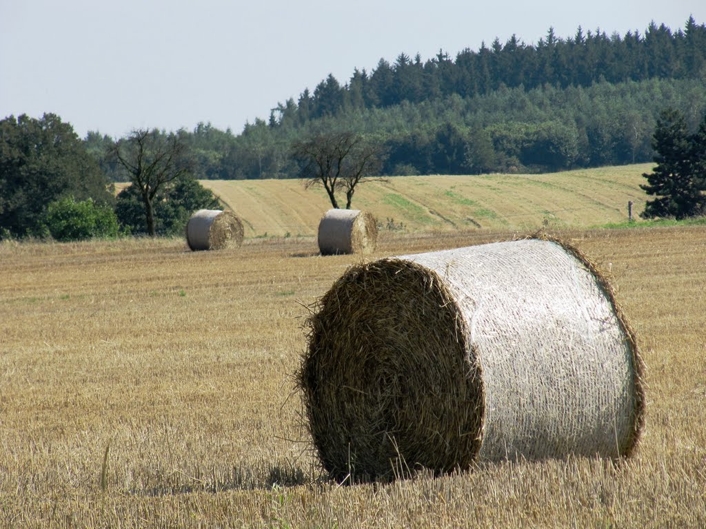 Sláma by Ráďa