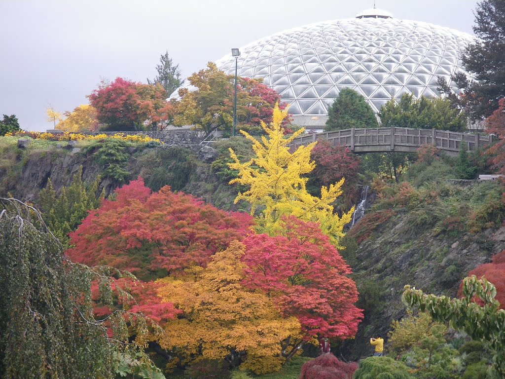 Queen elizabeth park by Fonky Gecko