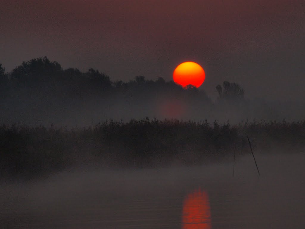 Őszi napkelte / Autumn sunrise by lacimadmax