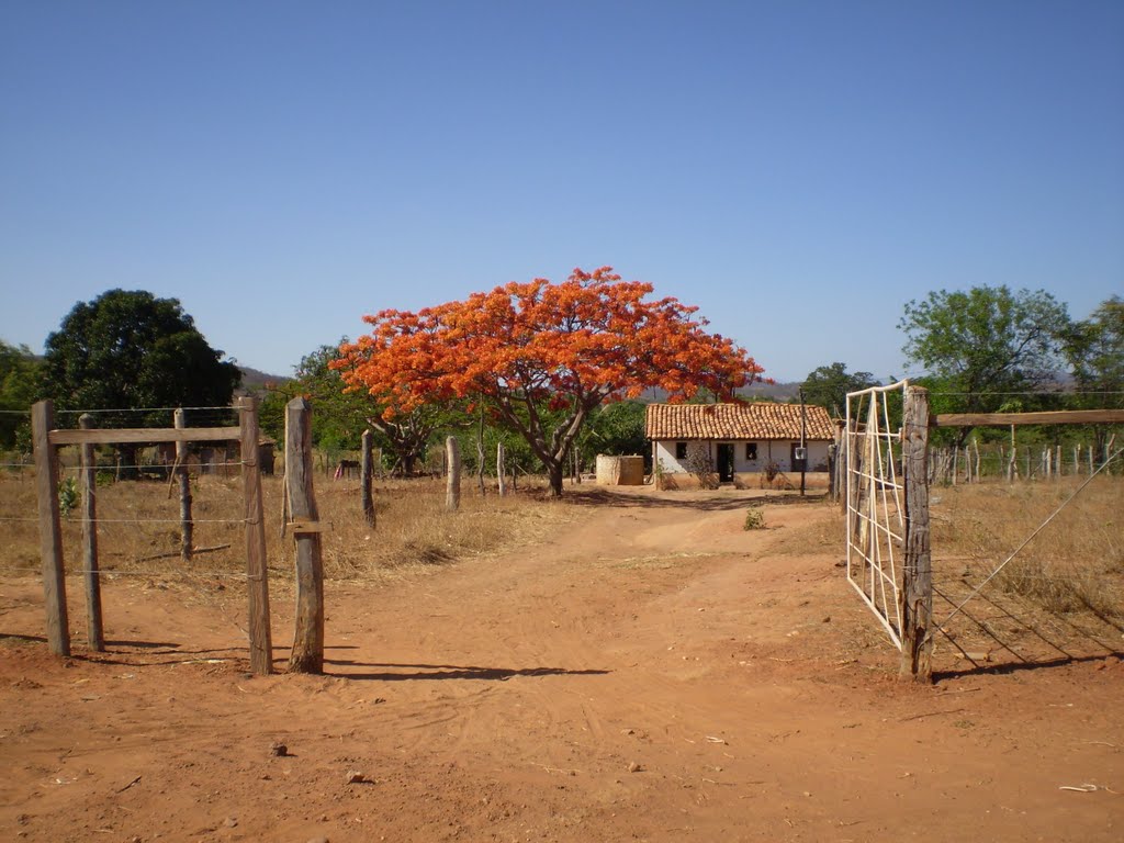 Near Cashoeira do Serrado (MG) by albertosaurus2003