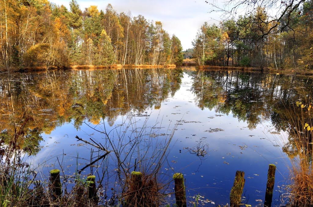 Herbstspiegel by Herbij