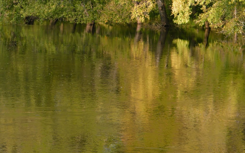 Rum River, Rum River Central Regional Park, Ramsey, Minnesota by © Tom Cooper