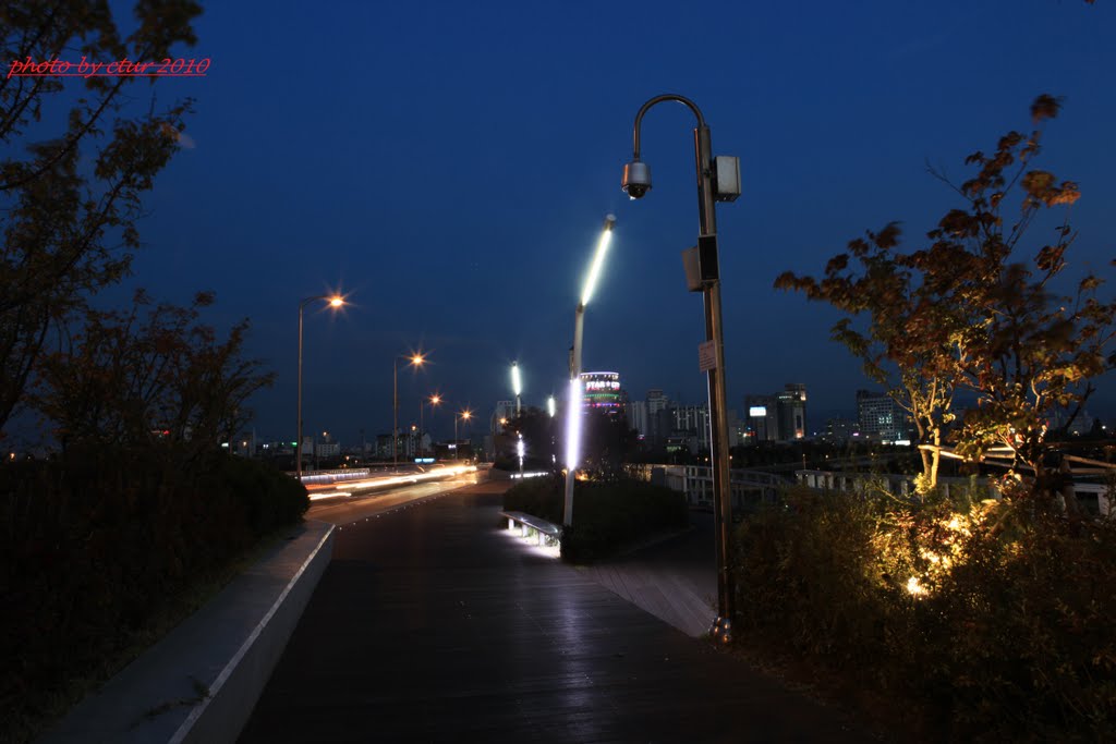 Midnight bridge,(seoul korea) by ctur