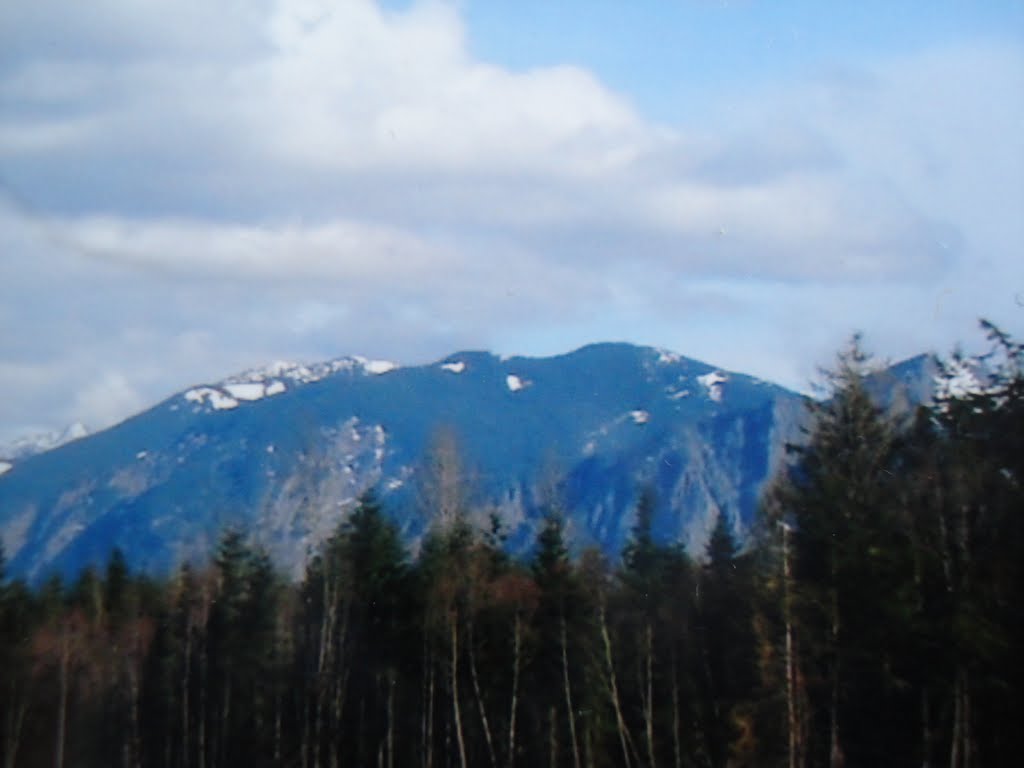 Valley beauty of Snoqualmie WA. by naveen  sharma