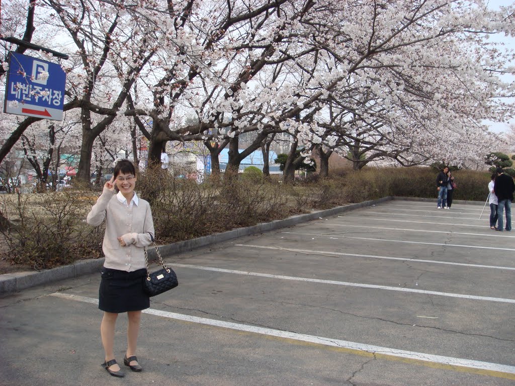 Sakura festival by sumokto