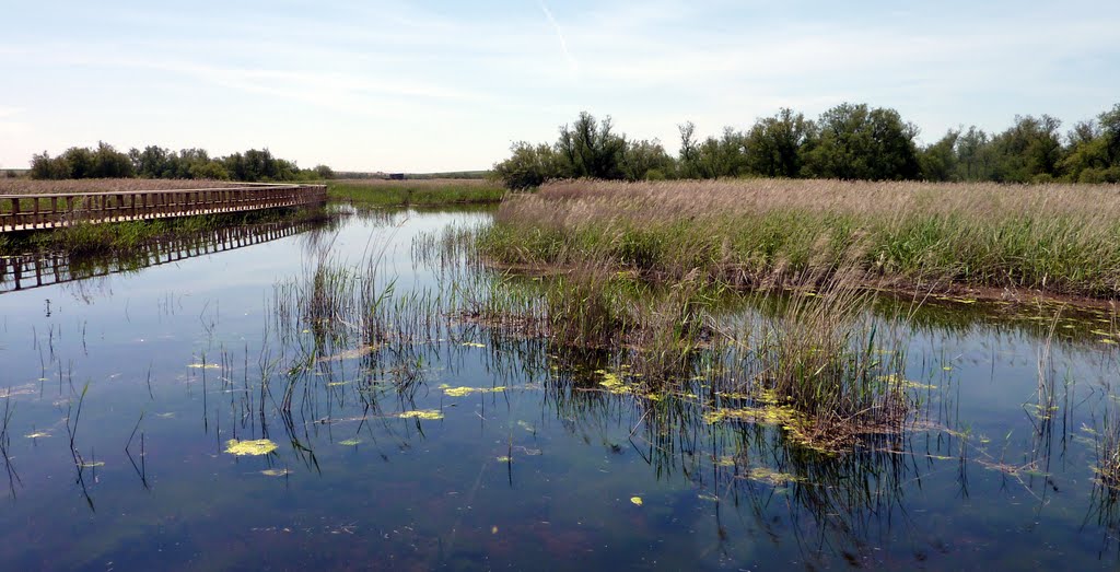 A landscape from "Las Tablas de Daimiel" by Spiritualized Kaos