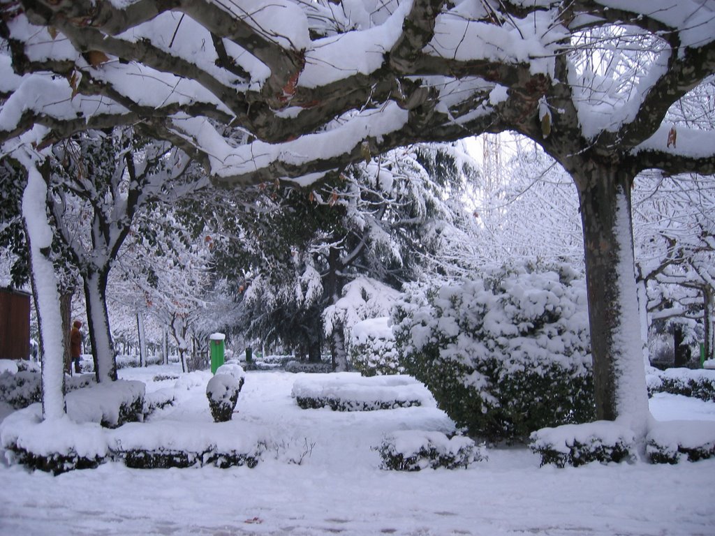 Nevada en Papalaguinda by Pepe Alvarez