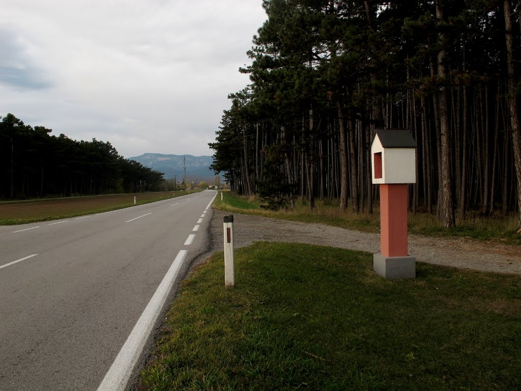 Rotes Kreuz am Ungarweg (1754) by cerambyx