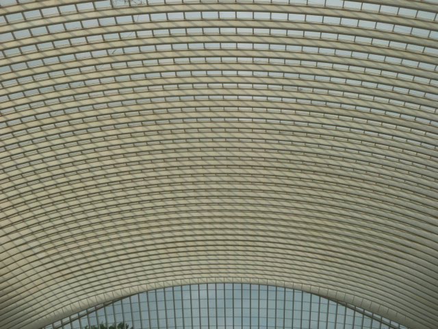 Liège, Gare de Liège-Guillemins by Antisthenes