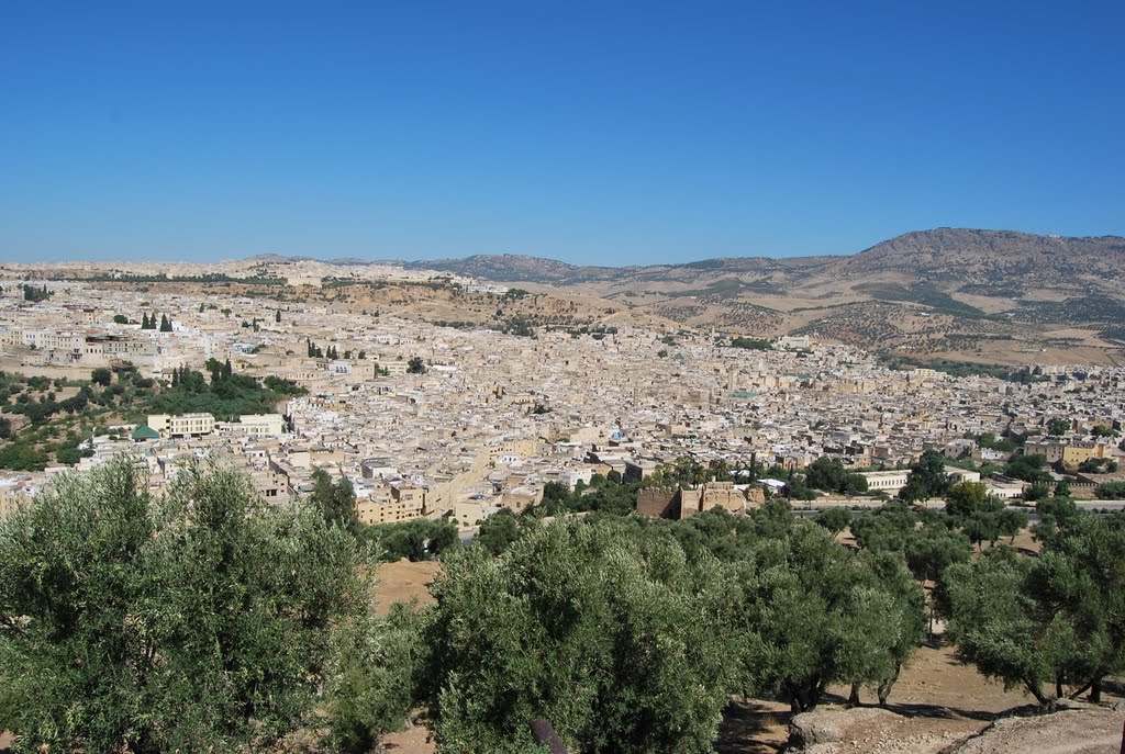 Fes, marruecos by perli