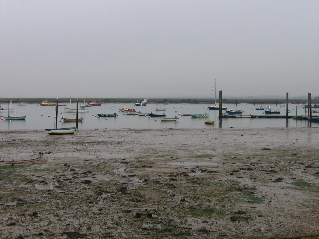 Mersea Island near the Company Shed seafood bar by jacek.nl