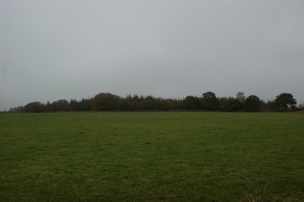 Boringdon Camp Iron Age Hillfort 4 by benkernow