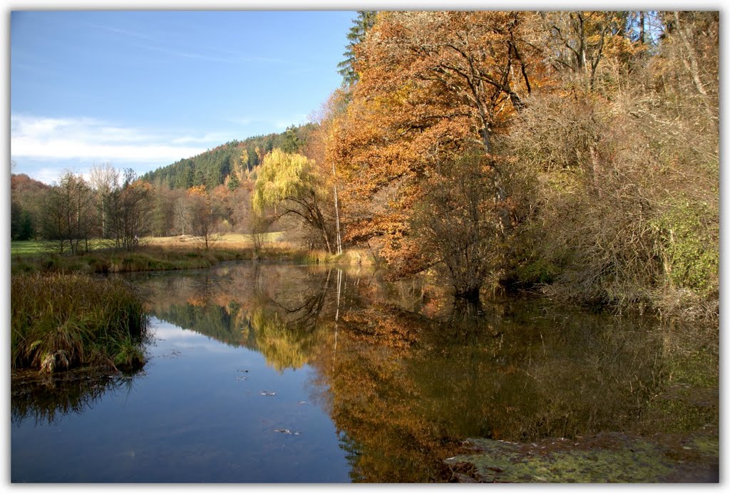 Schönbuch-Bebenhausen-01 ●(300°) by © Roland