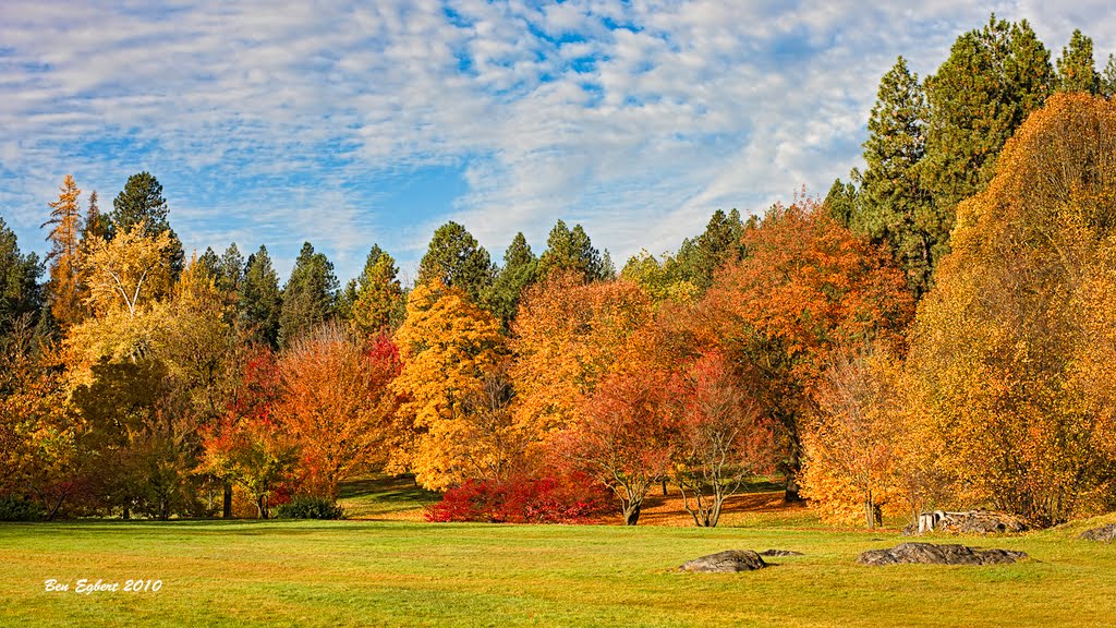 Fall in Fynch Arboretum by ben egbert