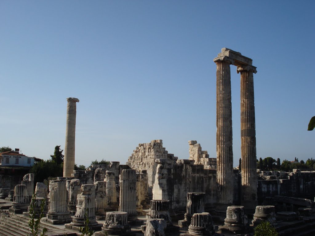 Apollon temple, Didim by ffilip