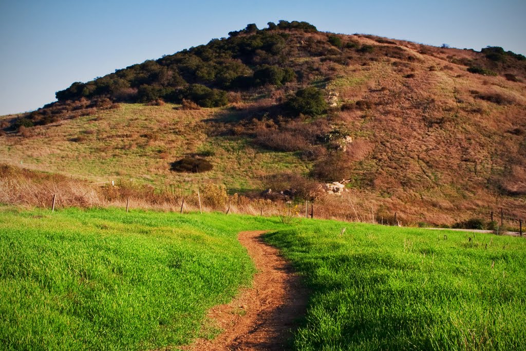 Quail Hill Trail Exit by cj5