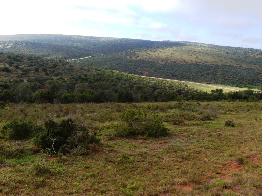 Addo Elephant National Park by maremagna