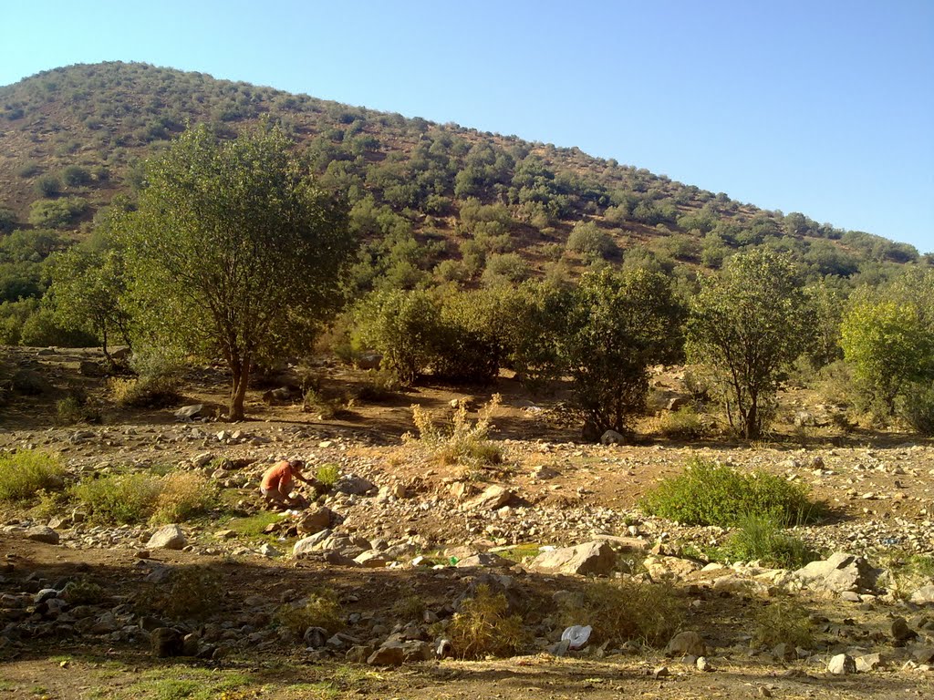 A view of nature of Kahman-Alashtar-Lorestan-Iran by amir ghasemi yegane