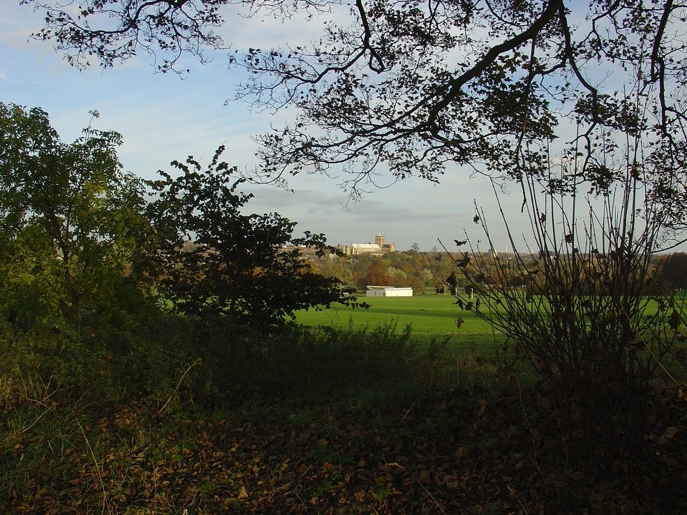 Autumn 2007, Verulam Park - St Albans by Paul HART