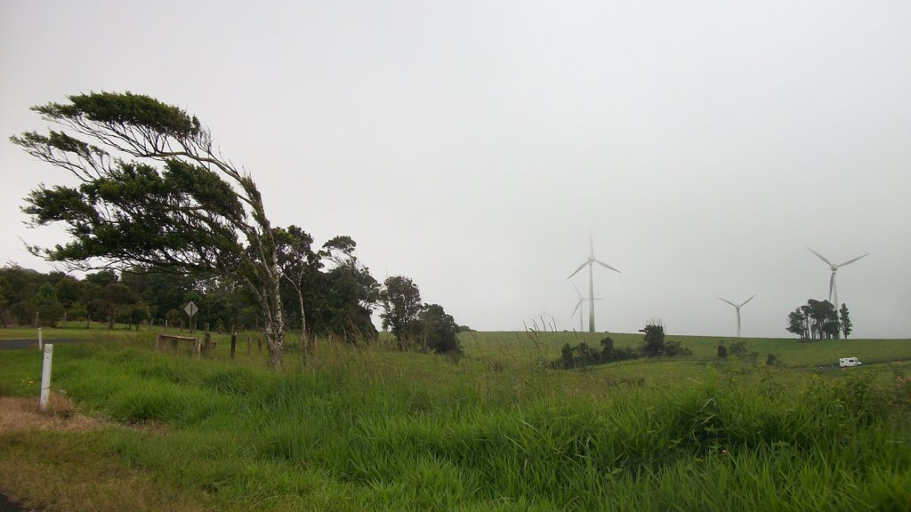 Wind Farm around Ravenshoe by plgrenon