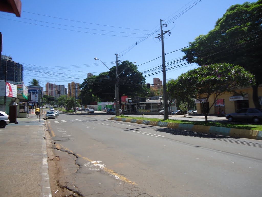 Avenida Higienópolis - Londrina - PR by Gal dos Anjos