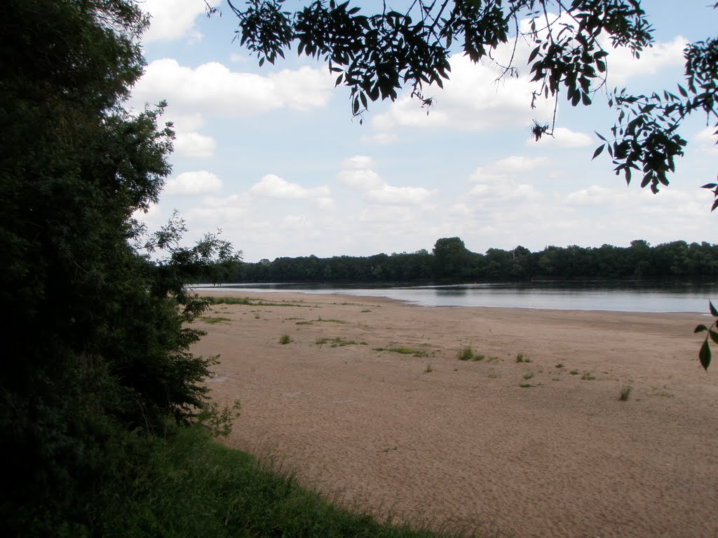 La Loire amont, Béhuard (40) by katricoin