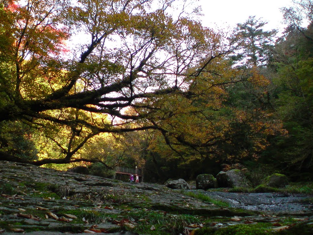 菊池渓谷 Kikuchi gorge by hirokuta