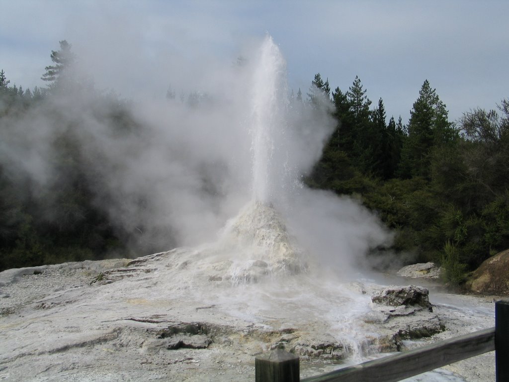 Wai O Tapu Geyser by _N_